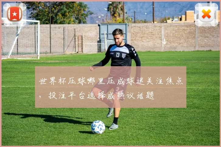 世界杯压球哪里压成球迷关注焦点，投注平台选择成热议话题