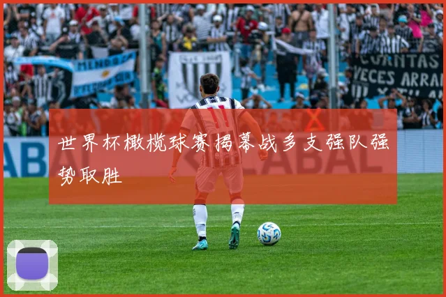 世界杯橄榄球赛揭幕战多支强队强势取胜