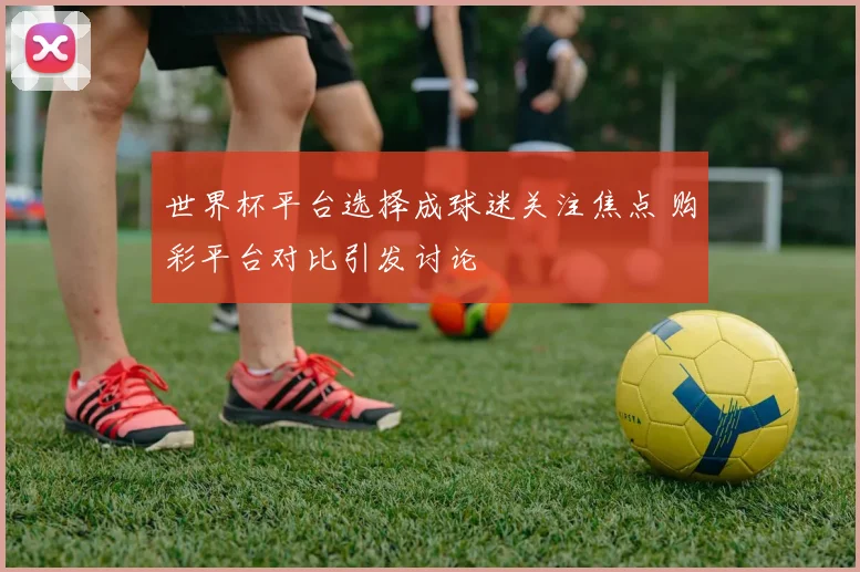 世界杯平台选择成球迷关注焦点 购彩平台对比引发讨论