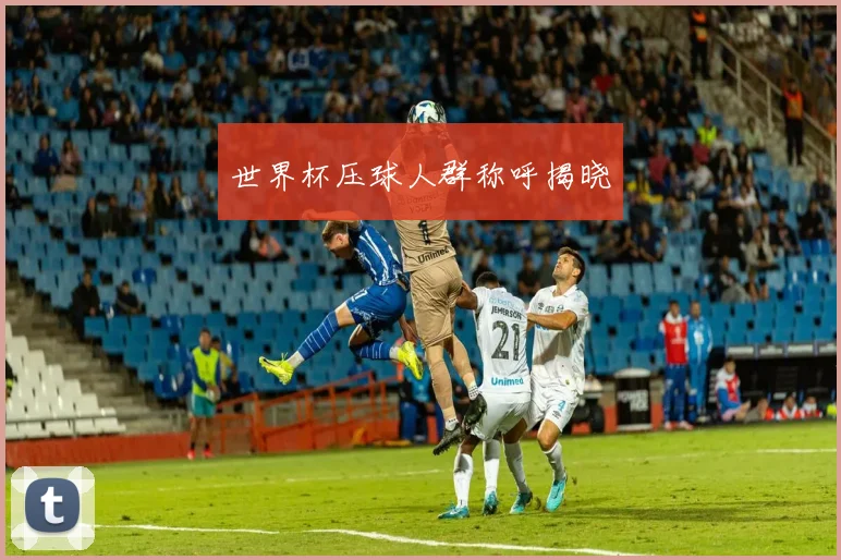 世界杯压球人群称呼揭晓