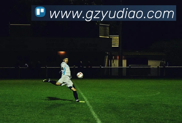 星空官网免费入口APP 封面图